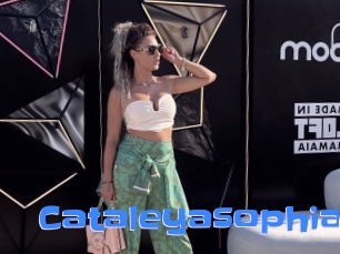 Cataleyasophia