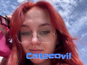 Catecovil