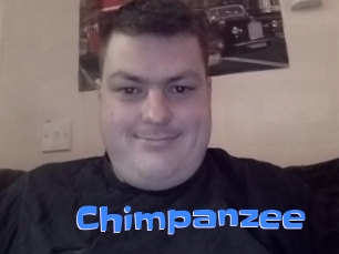 Chimpanzee