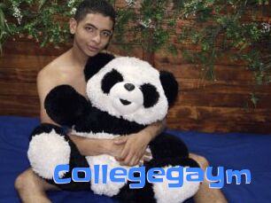 Collegegaym
