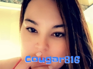 Cougar816