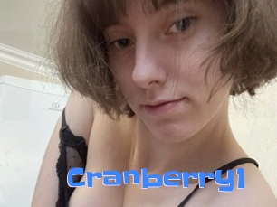 Cranberry1