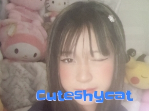 Cuteshycat