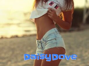 DaisyDove