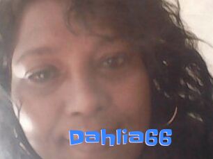 Dahlia66