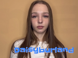 Daisyburland