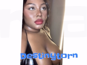 Destinytorn