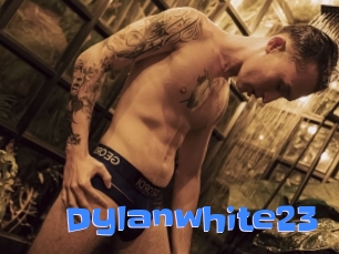 Dylanwhite23