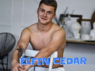ELFIN_CEDAR
