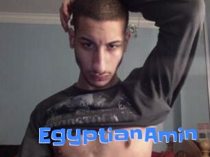 EgyptianAmin