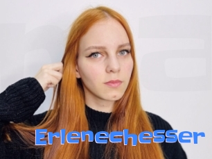 Erlenechesser