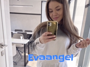 Evaangel