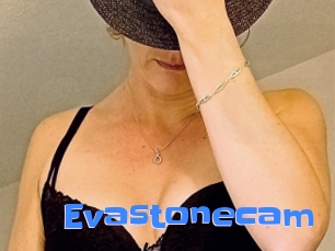 Evastonecam