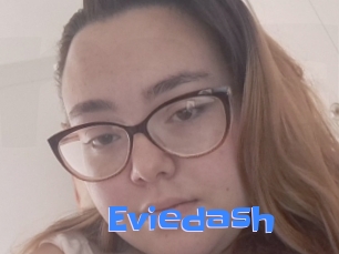 Eviedash