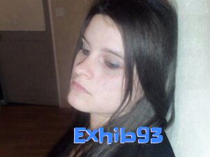 Exhib93