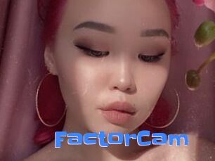 FactorCam