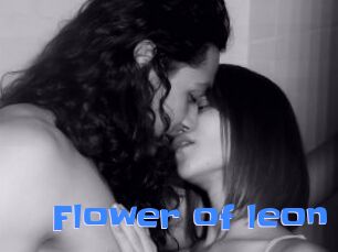Flower_of_leon