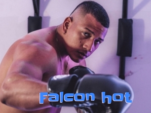 Falcon_hot