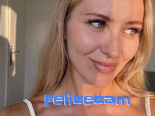 Felicecam