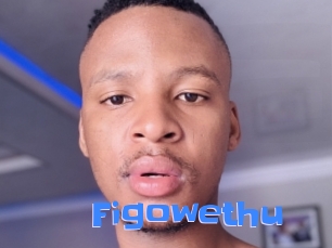 Figowethu