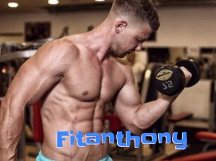 Fitanthony