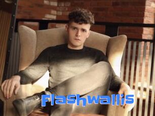 Flashwallis
