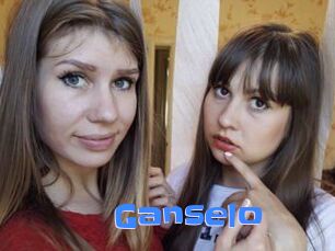 Ganselo Mausi Privat