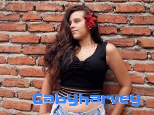 Gabyharvey