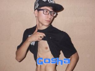 gosha Mausi Privat