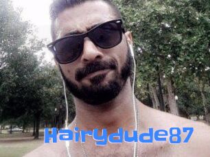 Hairydude87