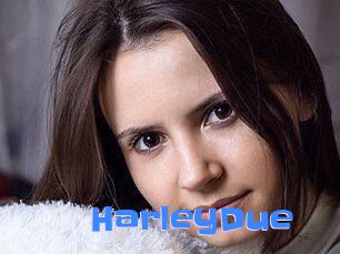 Harley_Due