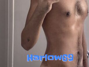 Harlow69