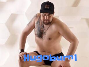 Hugoburn1