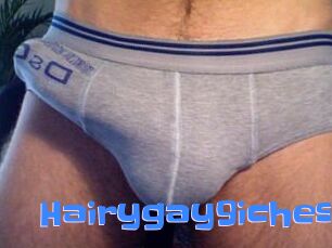 Hairygay9iches