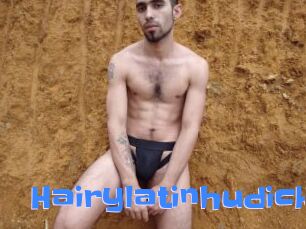 Hairylatinhudick