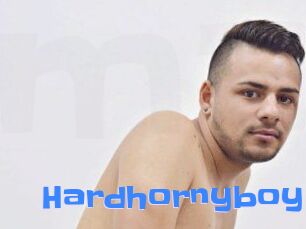 Hardhornyboy