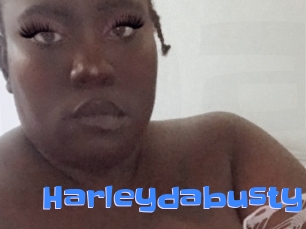 Harleydabusty