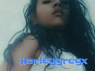 harleygreyx Mausi Privat