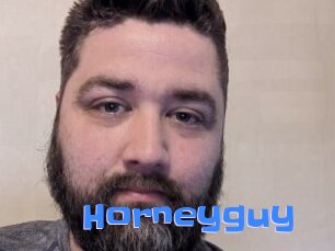 Horneyguy