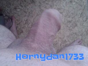 Hornydan1733