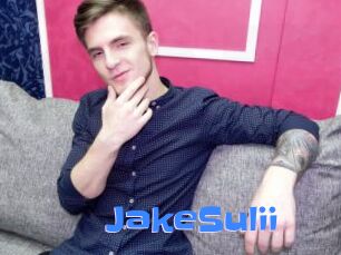 JakeSulii