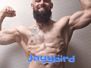 Jayybird