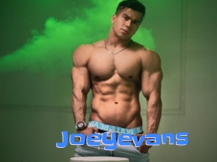 Joeyevans