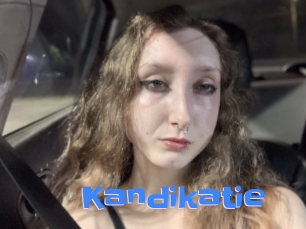 Kandikatie