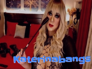 Katerinabangs