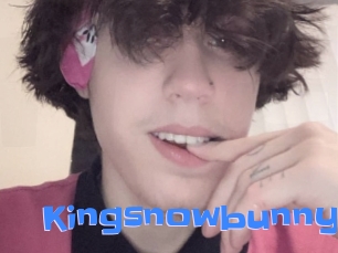 Kingsnowbunny