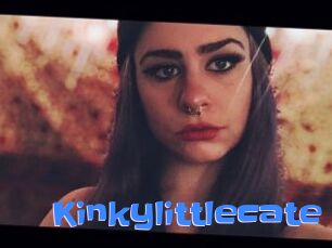 Kinkylittlecate