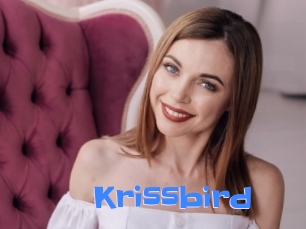 Krissbird