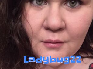 Ladybug22