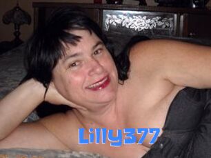 Lilly377